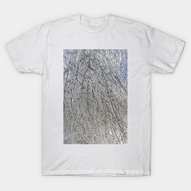 Icy Branches T-Shirt by Humerushumor